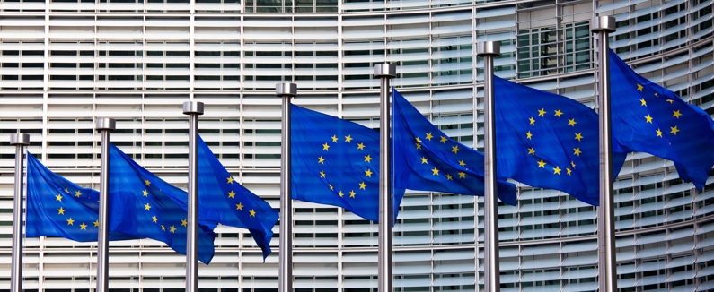 Dall’Unione Europea Fondi strutturali per i liberi professionisti
