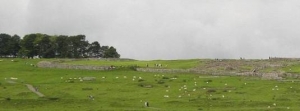 capului